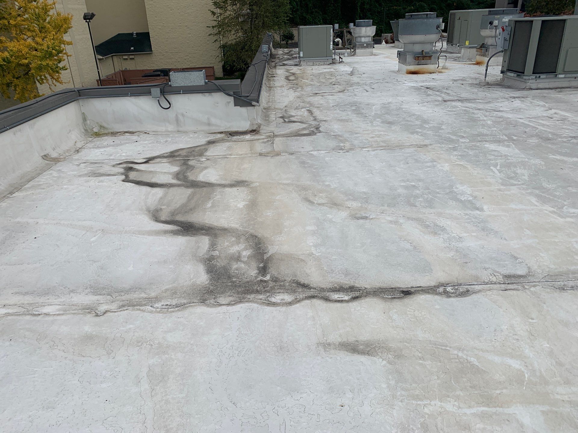 Wind Damage Roof Restoration